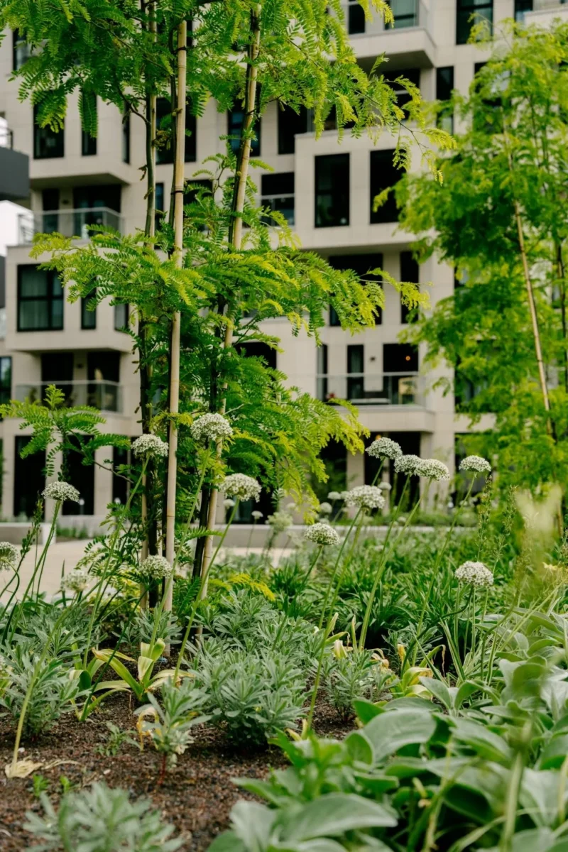 To Be At Location Westerpark West 4